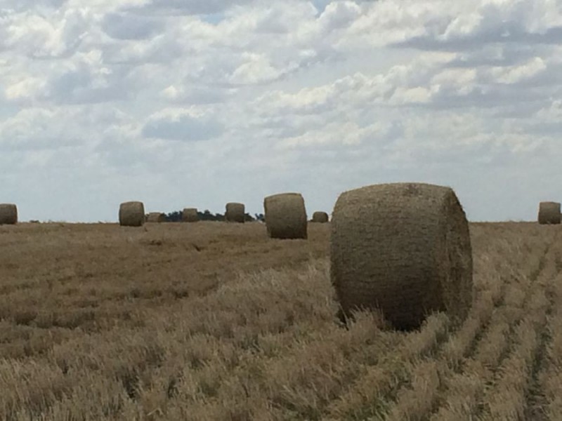 “Geida Downs” and “Fairford”, Warialda, Warialda NSW 2402