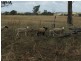 “Geida Downs” and “Fairford”, Warialda, Warialda NSW 2402