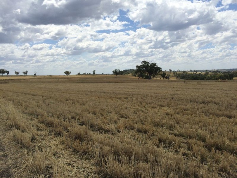 “Geida Downs” and “Fairford”, Warialda, Warialda NSW 2402