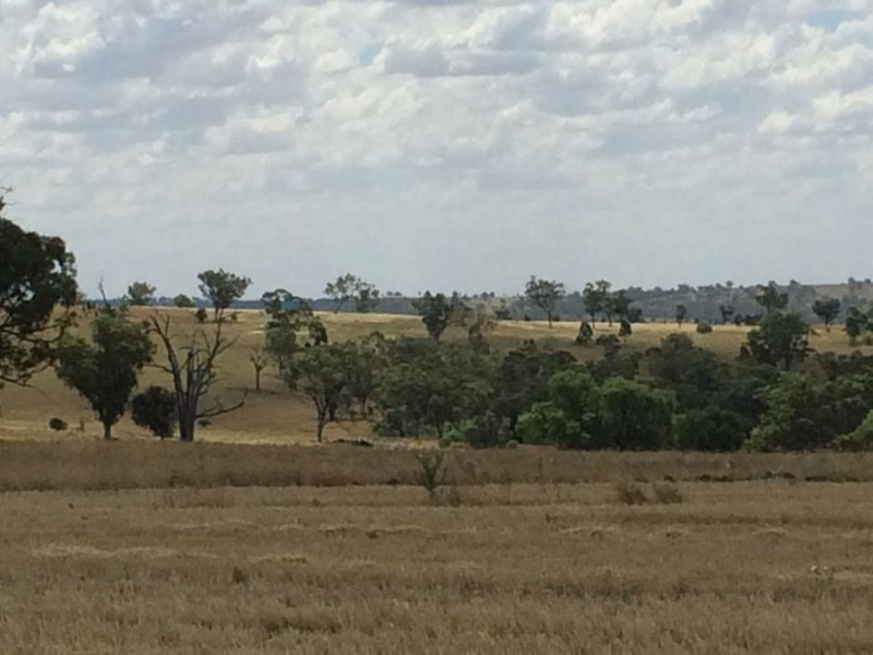 “Geida Downs” and “Fairford”, Warialda, Warialda NSW 2402
