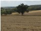 “Geida Downs” and “Fairford”, Warialda, Warialda NSW 2402