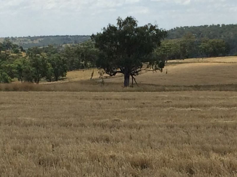 “Geida Downs” and “Fairford”, Warialda, Warialda NSW 2402
