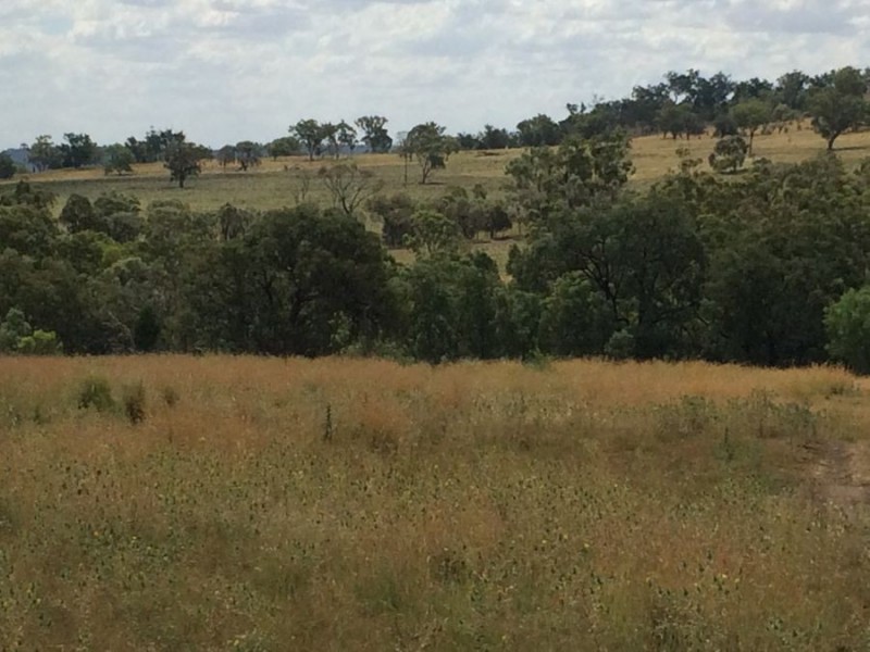“Geida Downs” and “Fairford”, Warialda, Warialda NSW 2402