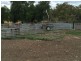 “Geida Downs” and “Fairford”, Warialda, Warialda NSW 2402