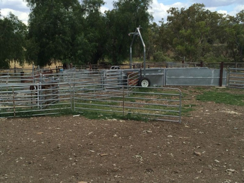 “Geida Downs” and “Fairford”, Warialda, Warialda NSW 2402