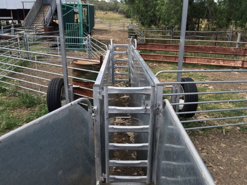 “Geida Downs” and “Fairford”, Warialda, Warialda NSW 2402