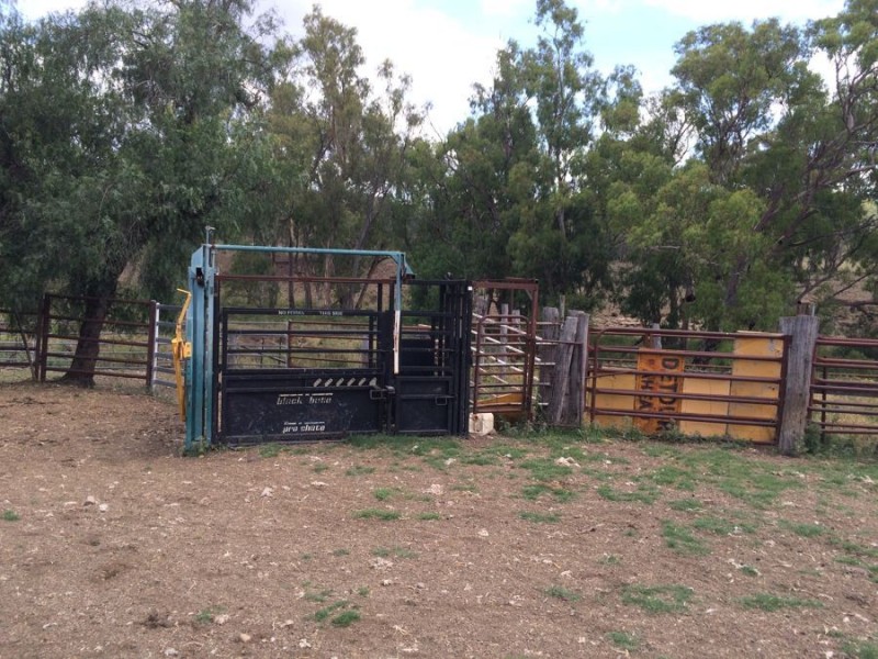 “Geida Downs” and “Fairford”, Warialda, Warialda NSW 2402