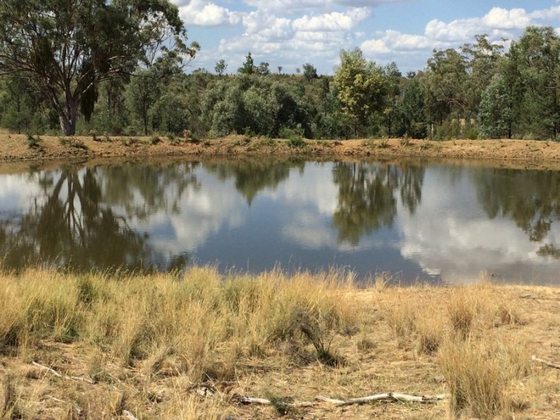 “Geida Downs” and “Fairford”, Warialda, Warialda NSW 2402
