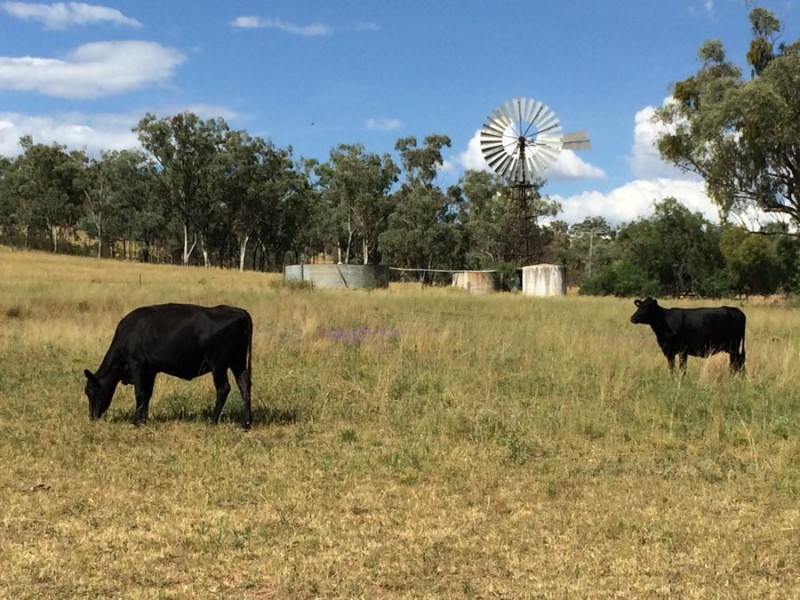 “Geida Downs” and “Fairford”, Warialda, Warialda NSW 2402