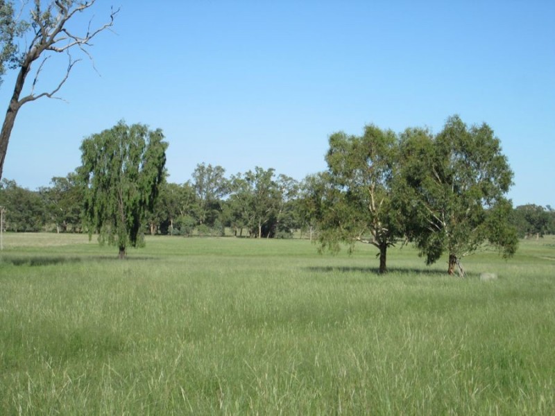 Irragappa Subdivision, Bellata NSW 2397