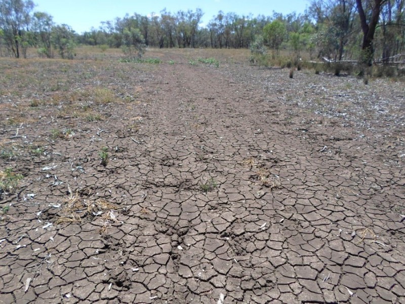 . “Burr Island”, Moree NSW 2400
