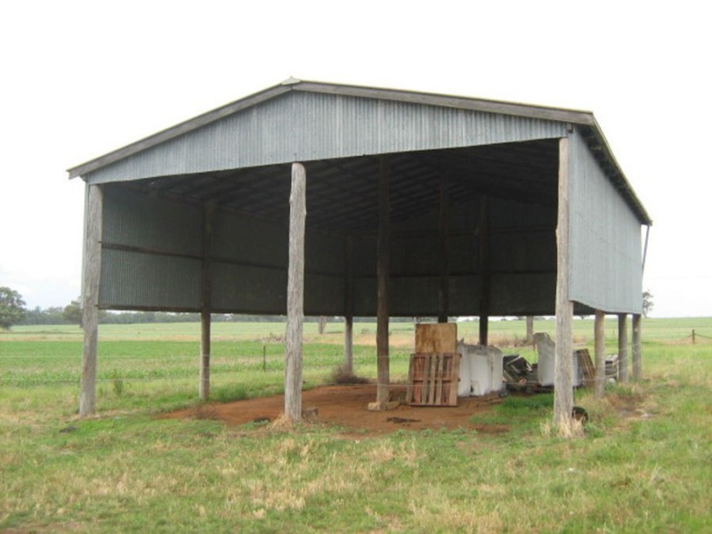 . “Bella”, Delungra NSW 2403