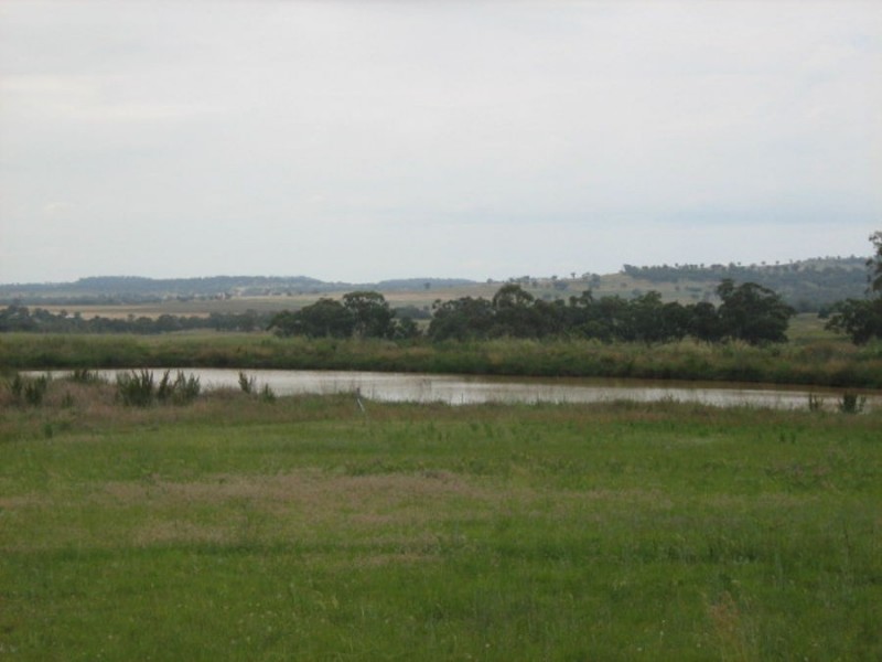 . “Bella”, Delungra NSW 2403