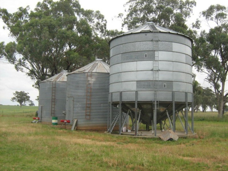 . “Bella”, Delungra NSW 2403