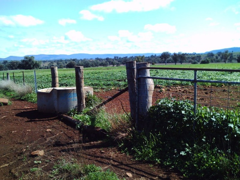 “Araluen” – “Finscaffen” – “Kiaora East”, Bingara NSW 2404