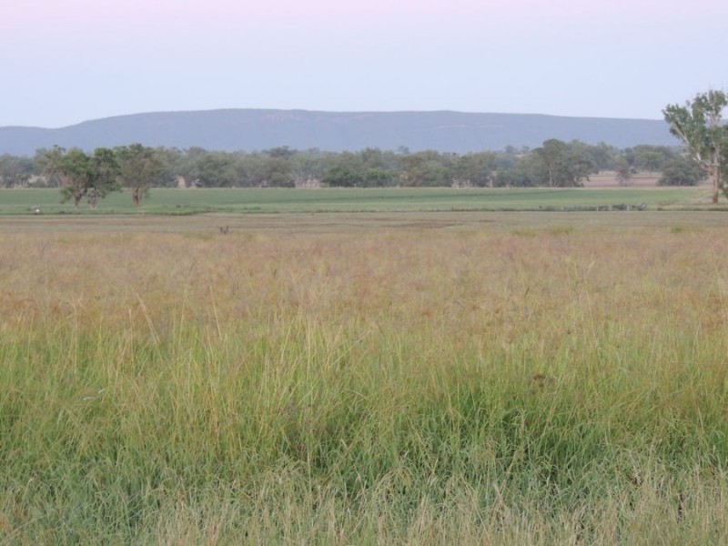 “Araluen” – “Finscaffen” – “Kiaora East”, Bingara NSW 2404