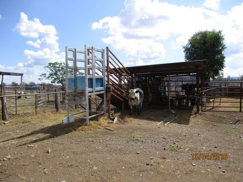 “Araluen” – “Finscaffen” – “Kiaora East”, Bingara NSW 2404