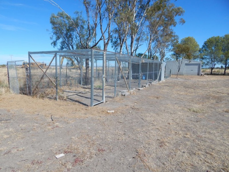 203 Amaroo Drive, Moree NSW 2400