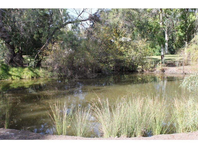 Balckaskie – Kooroogamma Road, Moree NSW 2400