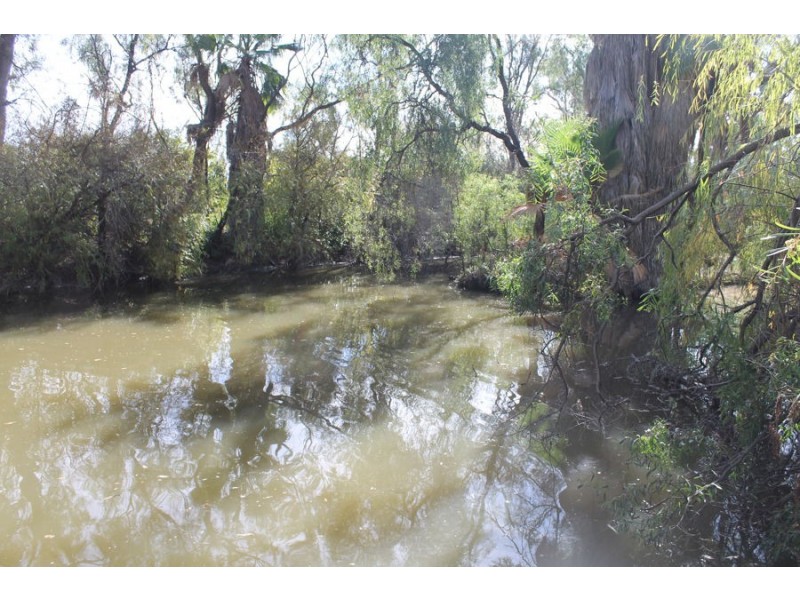 Balckaskie – Kooroogamma Road, Moree NSW 2400