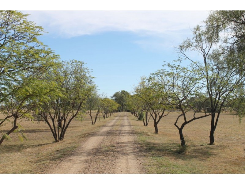 Balckaskie – Kooroogamma Road, Moree NSW 2400