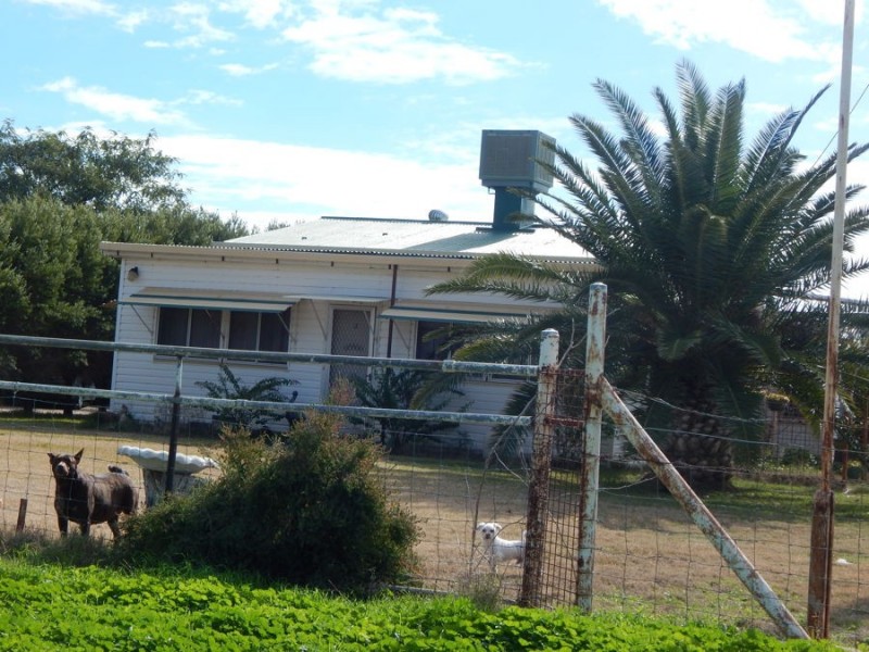 “Wongabeena”, Biniguy NSW 2399