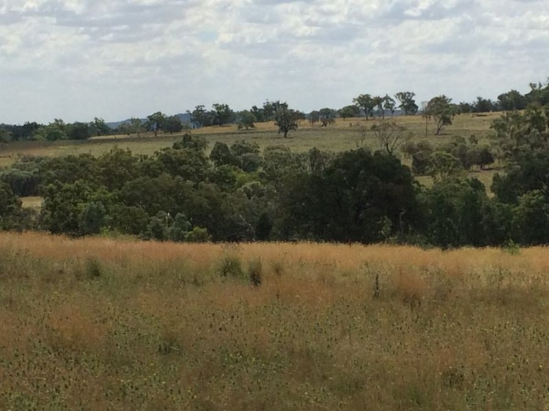 “Fairford”, Warialda NSW 2402