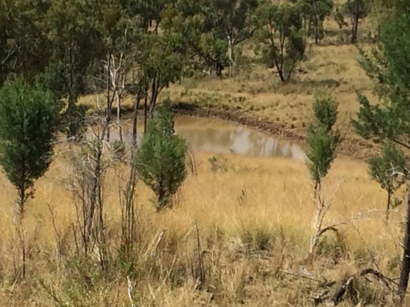“Fairford”, Warialda NSW 2402