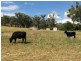 “Fairford”, Warialda NSW 2402