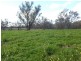 Boobialla Road, Moree NSW 2400