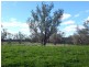 Boobialla Road, Moree NSW 2400