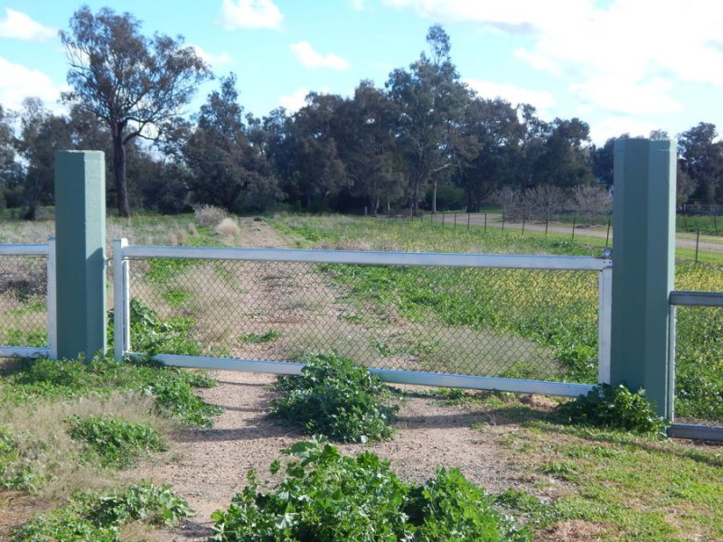 Boobialla Road, Moree NSW 2400