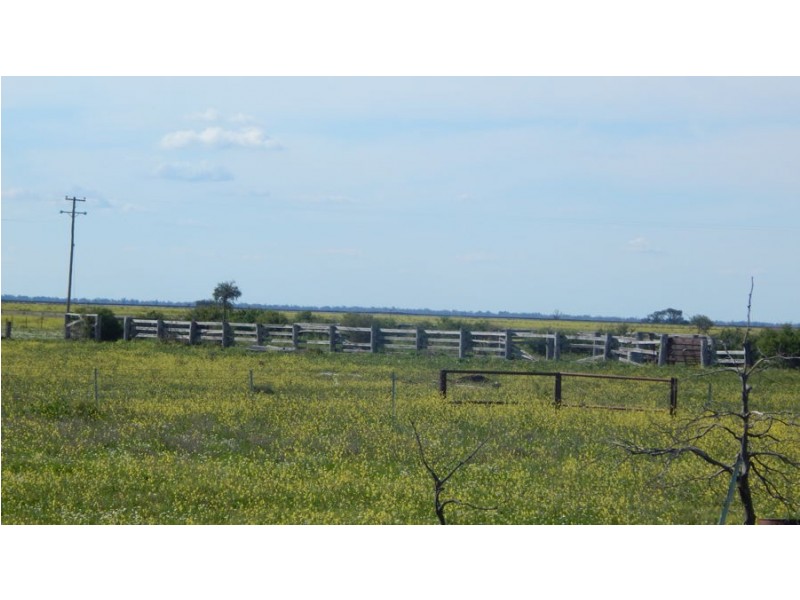 “Glendello”, Mallawa Road, Moree NSW 2400