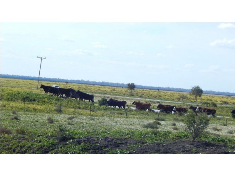 “Glendello”, Mallawa Road, Moree NSW 2400