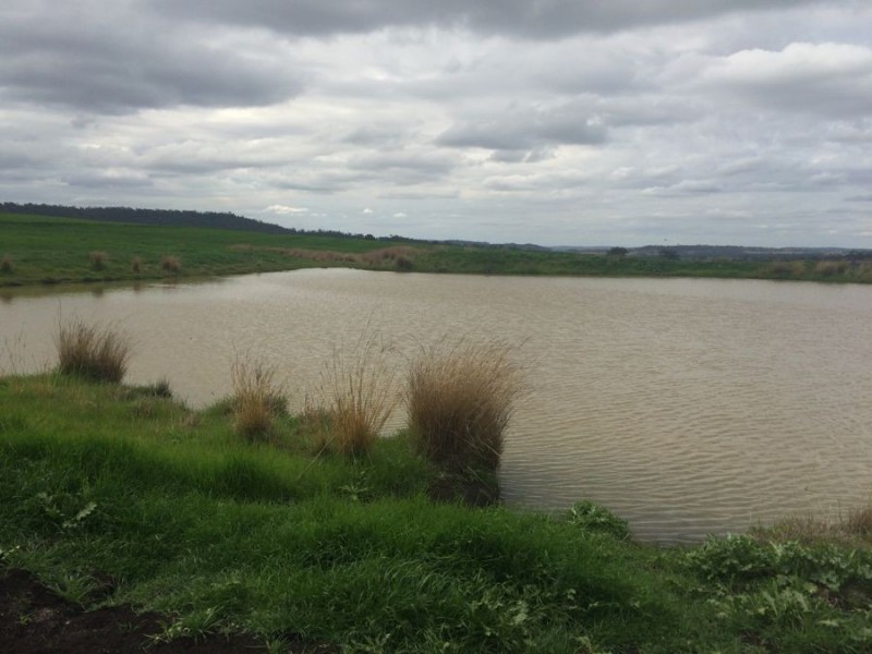 Warragundi, Warialda NSW 2402