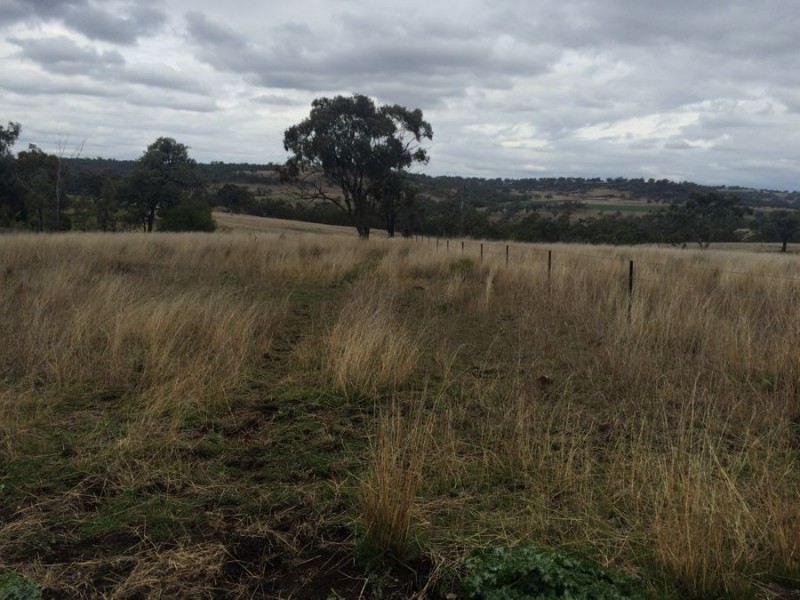 Warragundi, Warialda NSW 2402