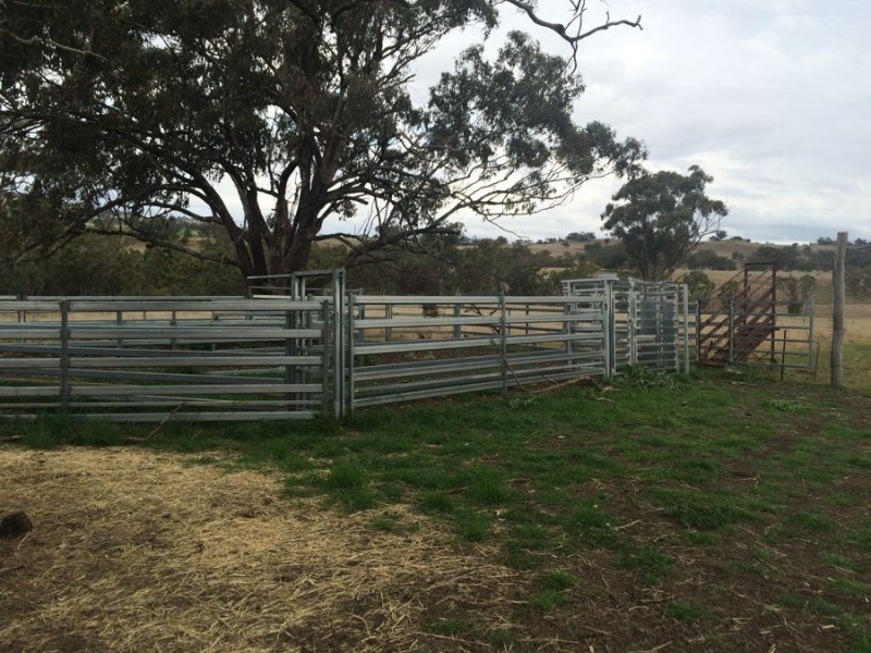 Warragundi, Warialda NSW 2402