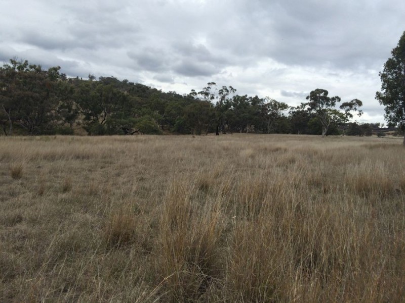 Warragundi, Warialda NSW 2402