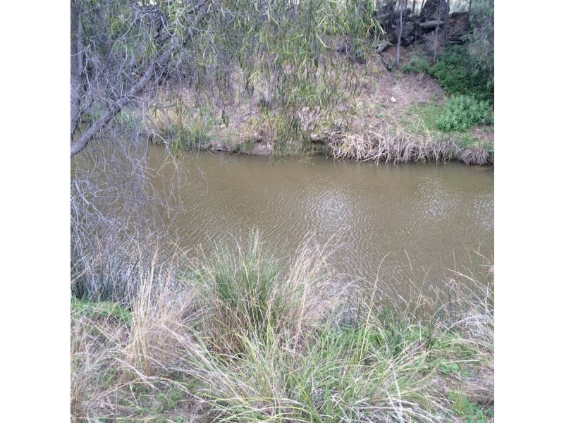 Warragundi, Warialda NSW 2402