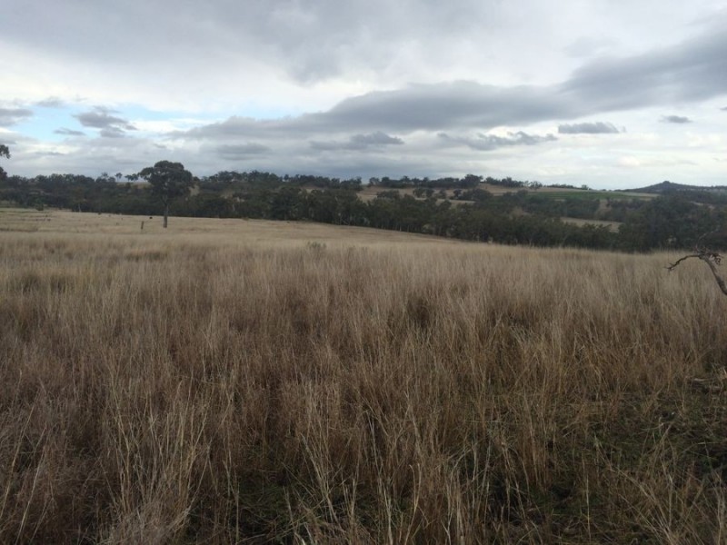 Warragundi, Warialda NSW 2402