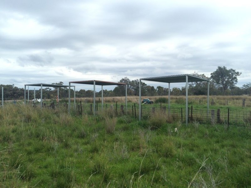 Warragundi, Warialda NSW 2402