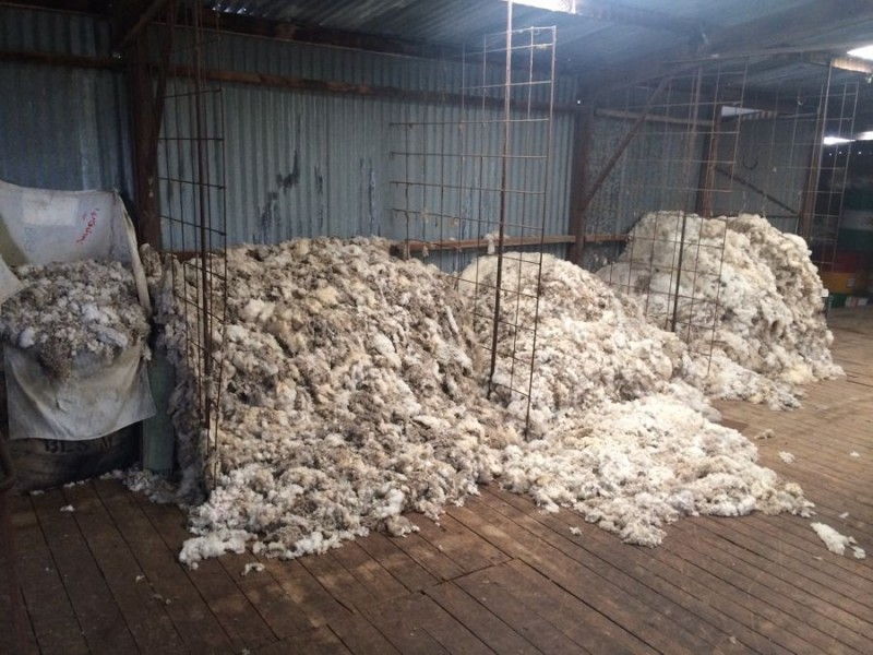 Warragundi, Warialda NSW 2402