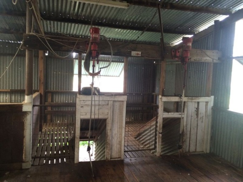 Warragundi, Warialda NSW 2402