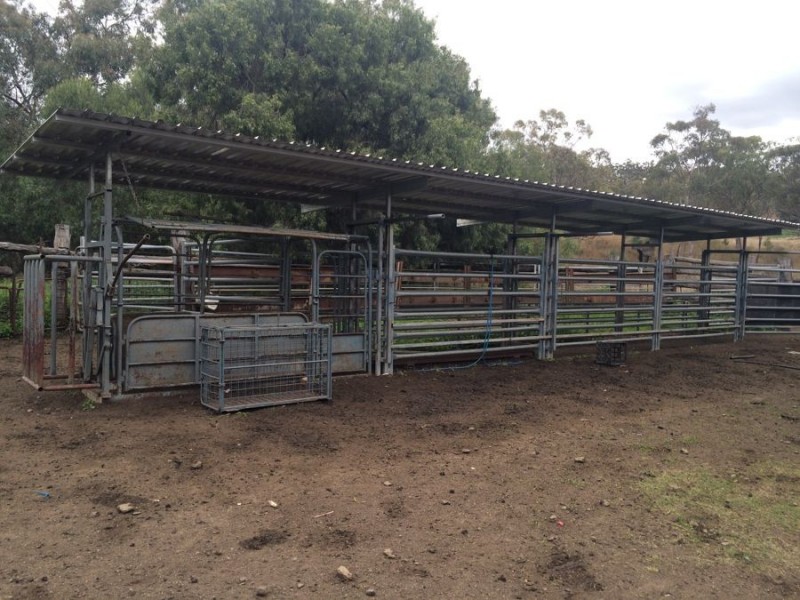 Warragundi, Warialda NSW 2402