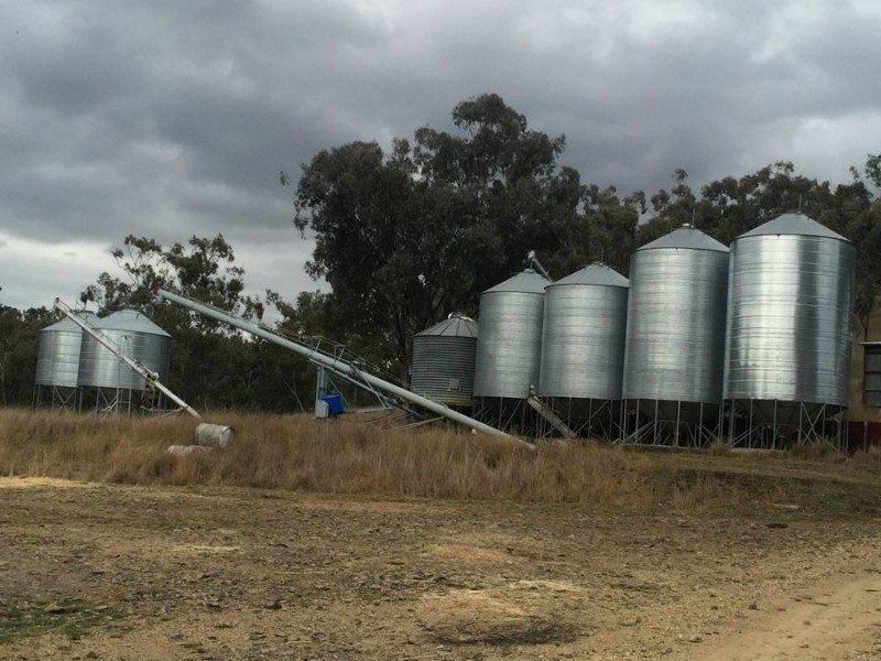 Warragundi, Warialda NSW 2402