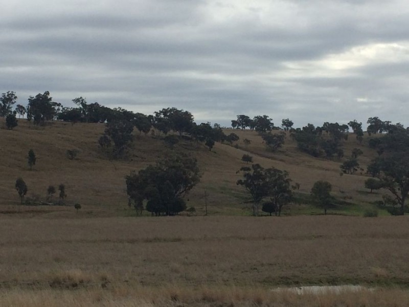 Warragundi, Warialda NSW 2402