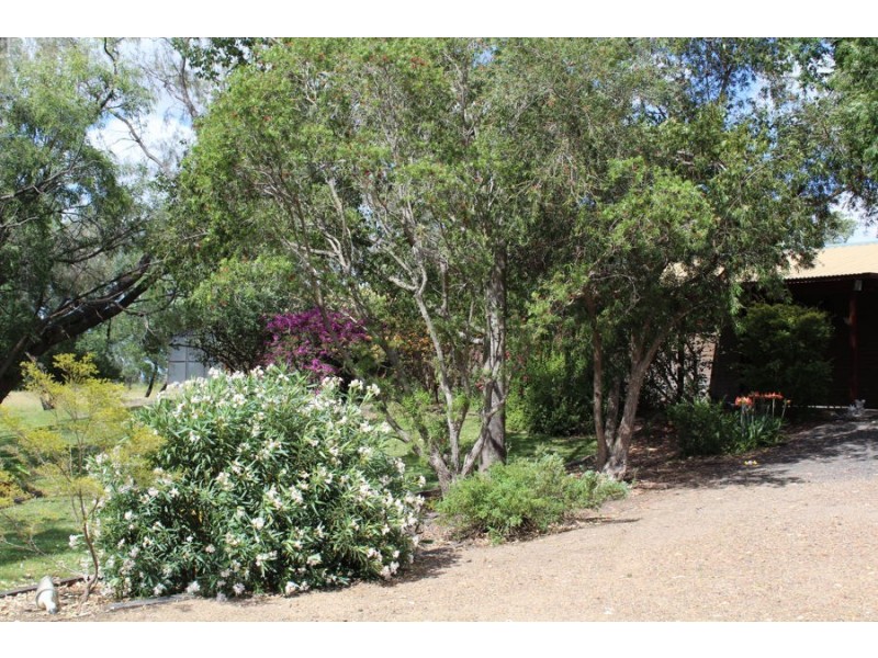 41 Tranquility Road, Moree NSW 2400