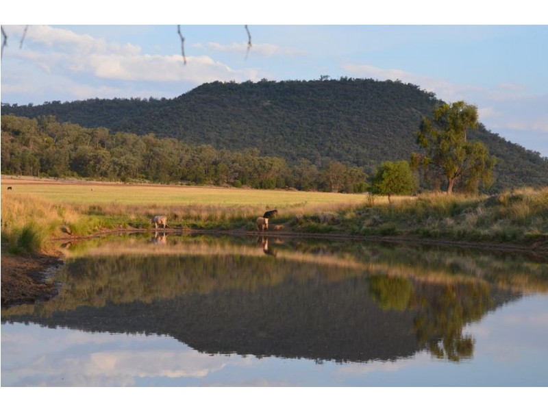 Brooklyn, Gravesend NSW 2401