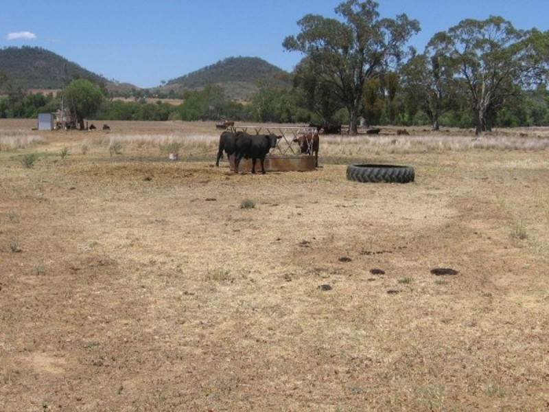 Brooklyn, Gravesend NSW 2401