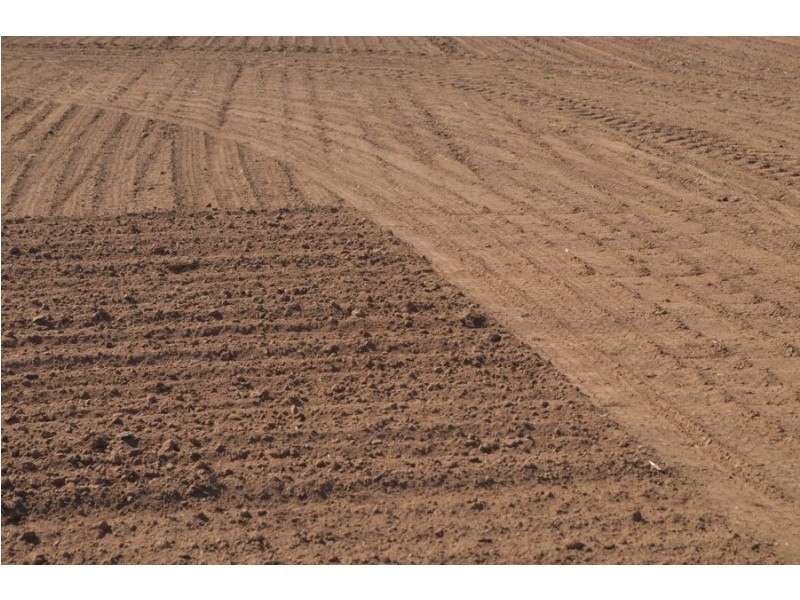 Brooklyn, Gravesend NSW 2401